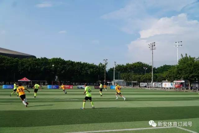 爱德华兹膝伤成疑，森林狼对阵骑士缺少迪文岑佐